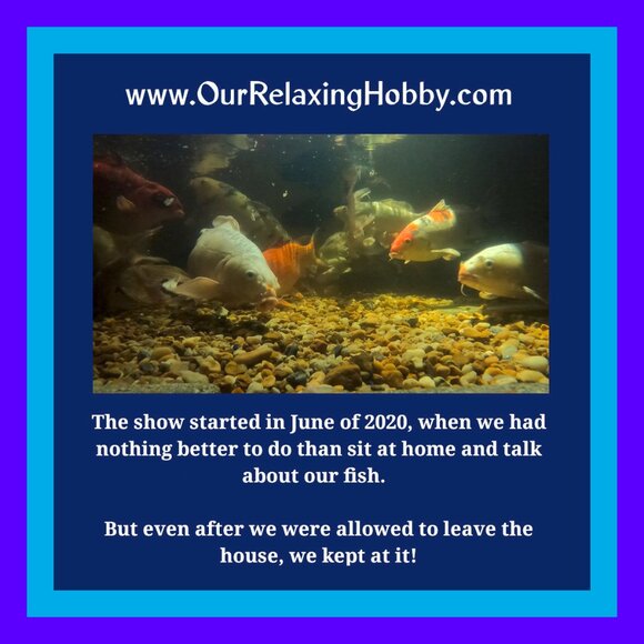 MEET THE FISHY CLOSET! - Picture 5 of 10